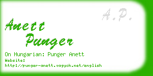 anett punger business card